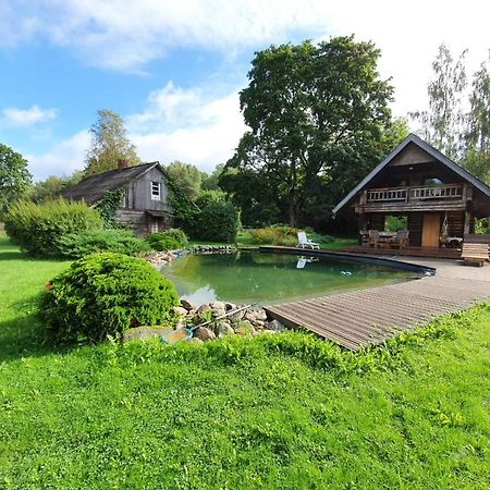 Jaunzemji Villa Dzeņi Eksteriør billede