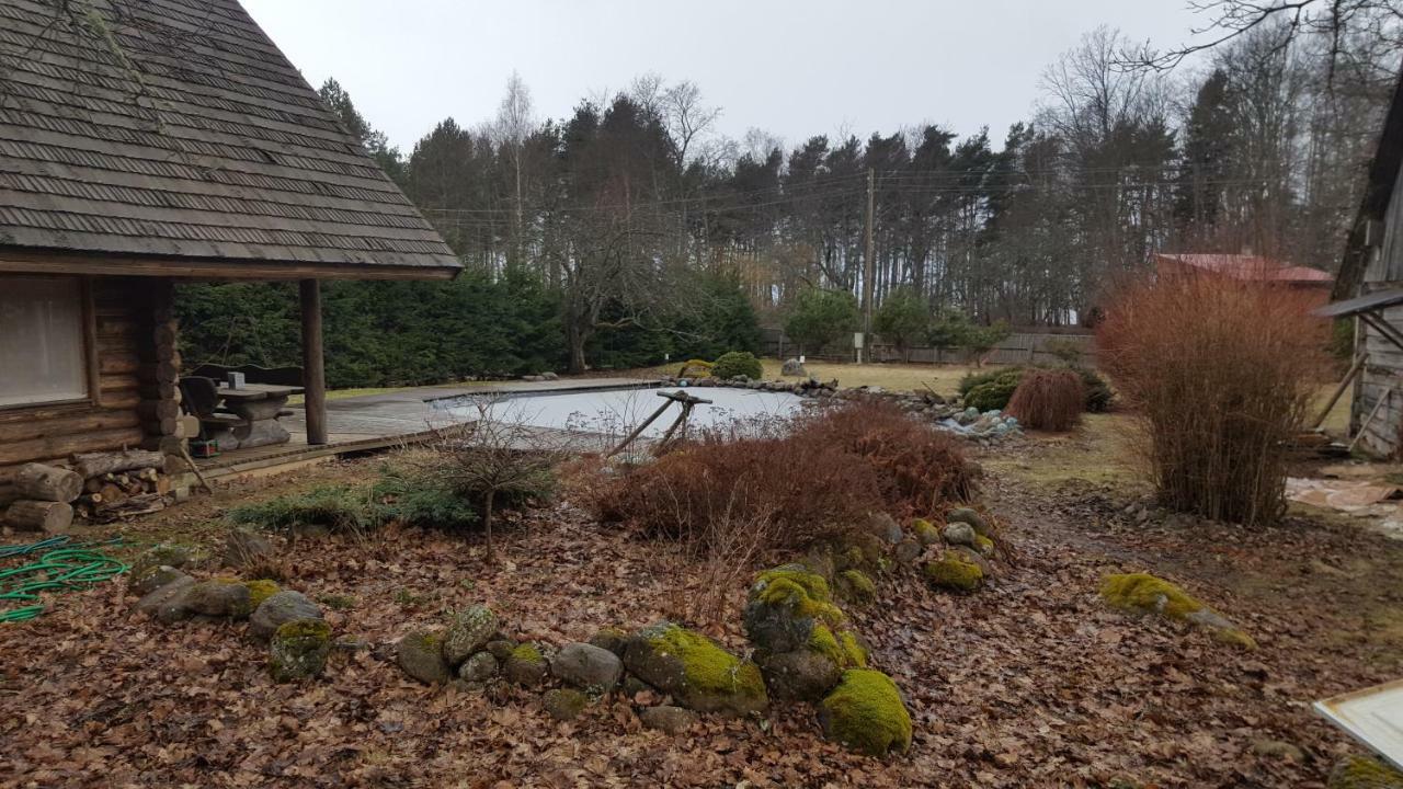 Jaunzemji Villa Dzeņi Eksteriør billede